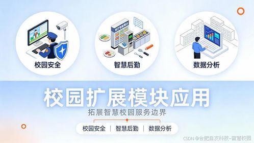 智慧校园建设模式深度分析 自研、外包与合作开发的选择智慧